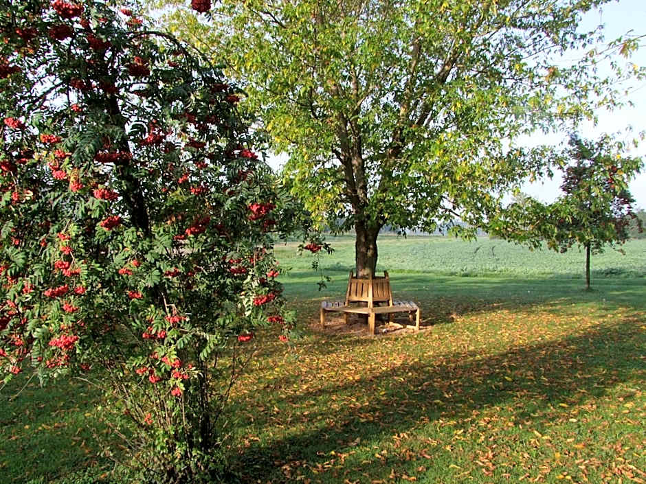 Hotel Moritz an der Elbe