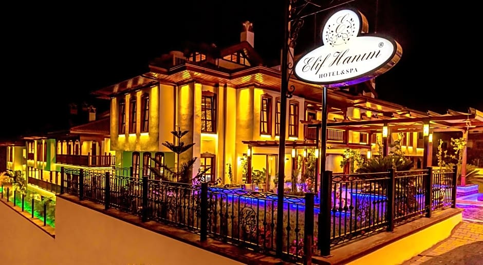 Elif Hanim Hotel & Spa