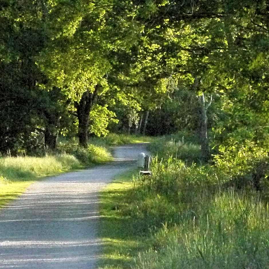 Hotel und Gästehaus Will