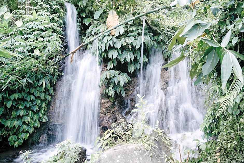 Padi Bali Jatiluwih