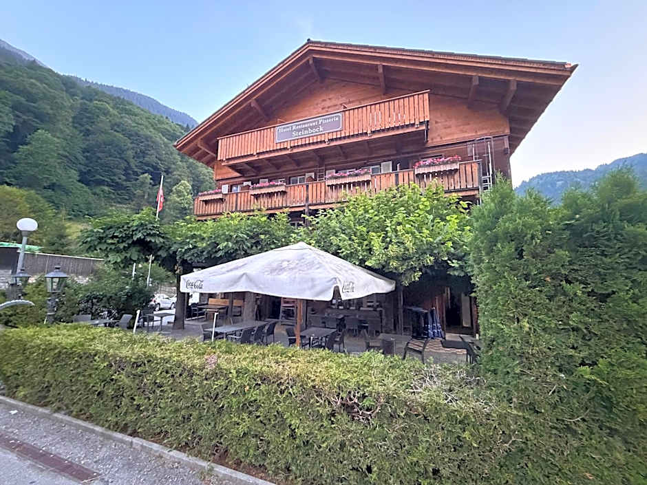 Hotel Steinbock