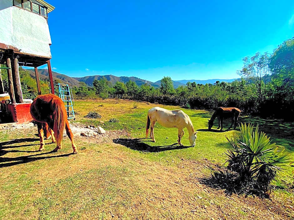 Rancho con Caballos El Reencuentro