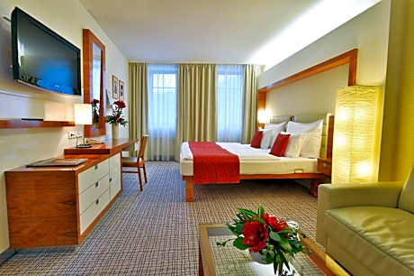 Superior Double Room with Wellness Access