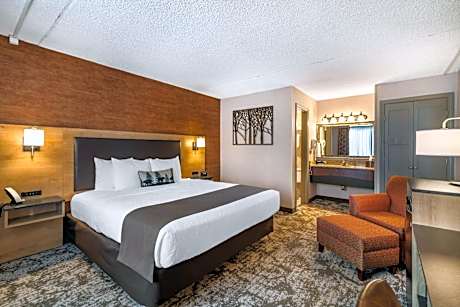 Standard King Room - Non-Smoking