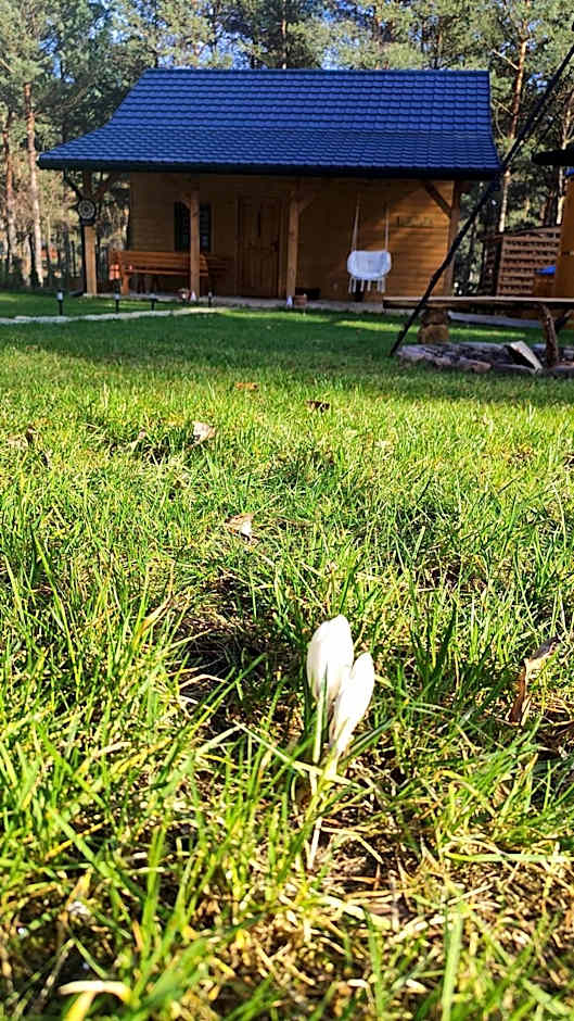 Domek Pietryna Sauna Balia