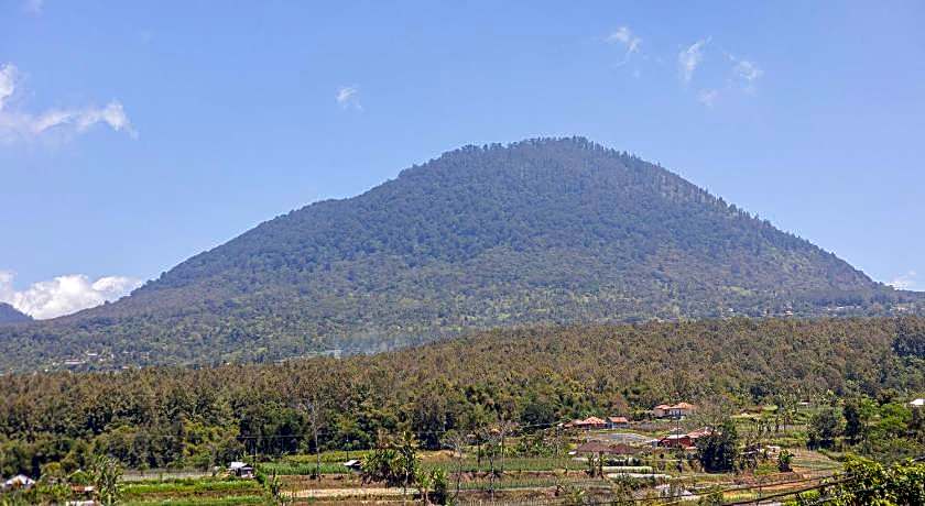 Lavender - Taman Tanda