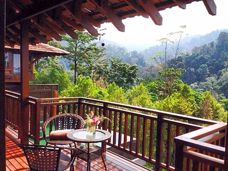 The Shorea
