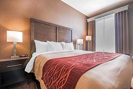 1 King Bed Non-Smoking