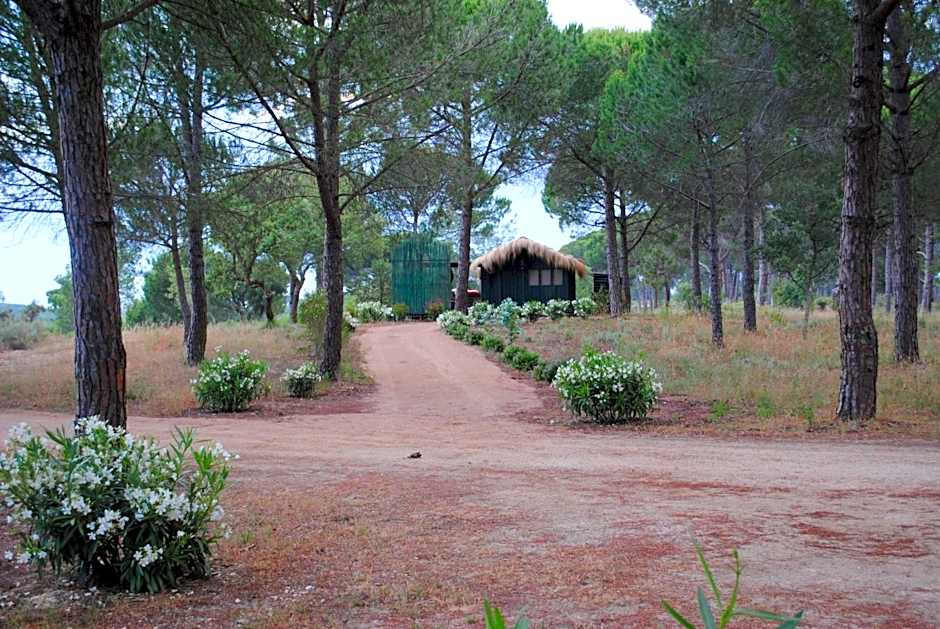 Ying Yang Monte da Lua