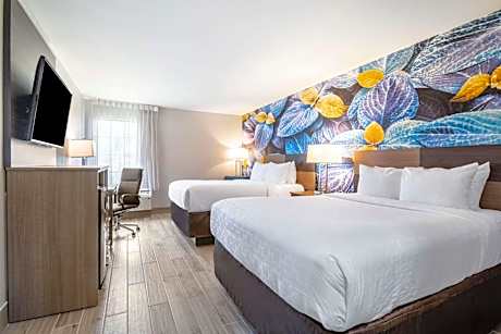 Queen Room with Two Queen Beds - Non Smoking/Pet Friendly