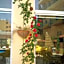 Mariam Hotel