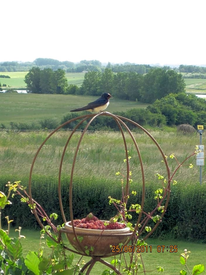 Bed and Birds B&B