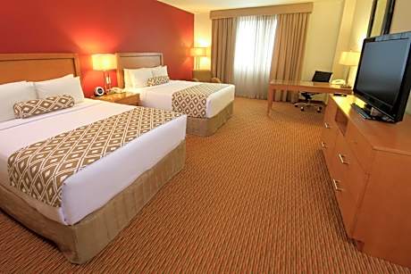 Executive Double Room - Non-Smoking