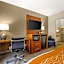 Comfort Inn South - Springfield