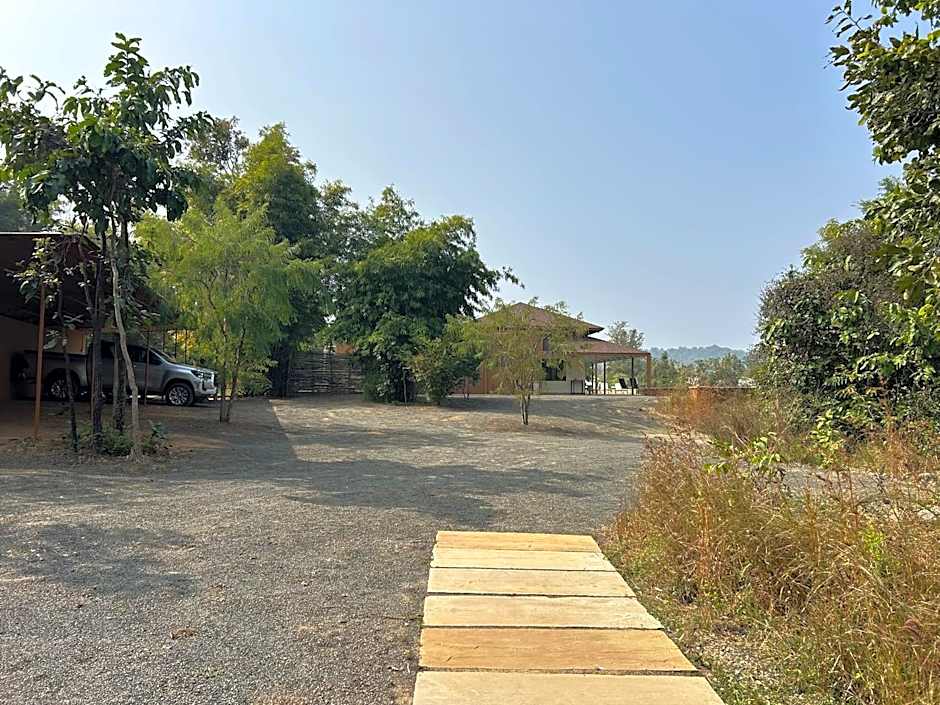 Tree of Life Ramvilas, Bandhavgarh