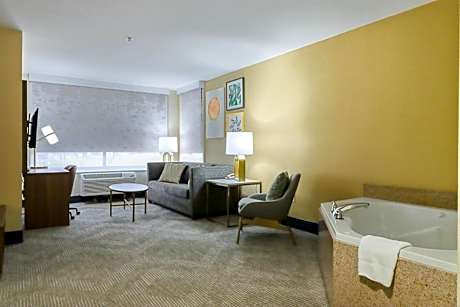 Deluxe King Suite