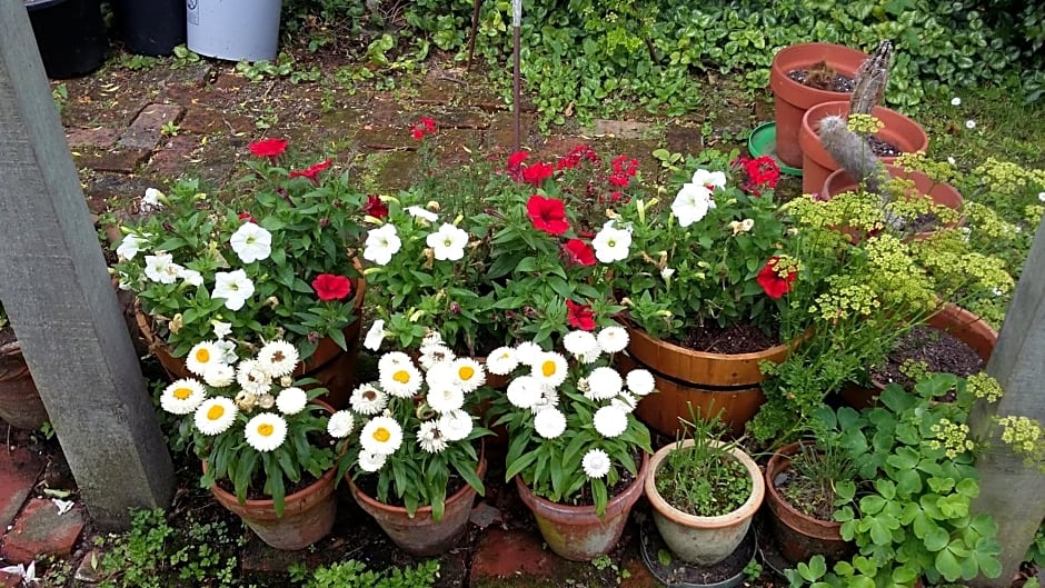 Jan's Boutique B & B Suite