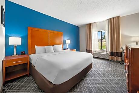 1 King Bed, Suite, Nonsmoking