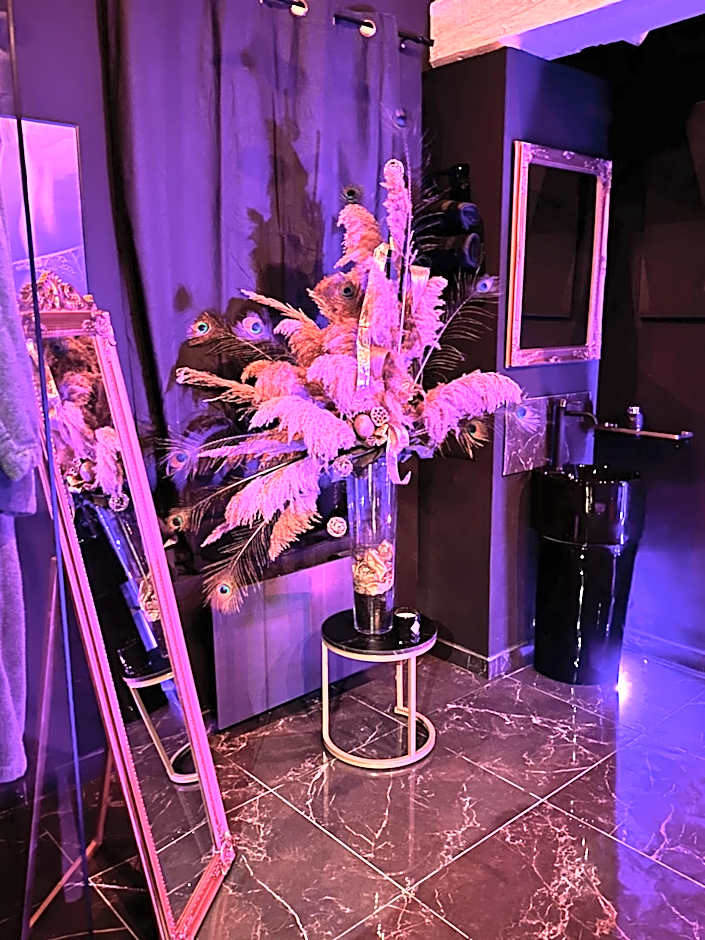 Loveroom de luxe - Thème 50 nuances de grey maison privative spa insolite