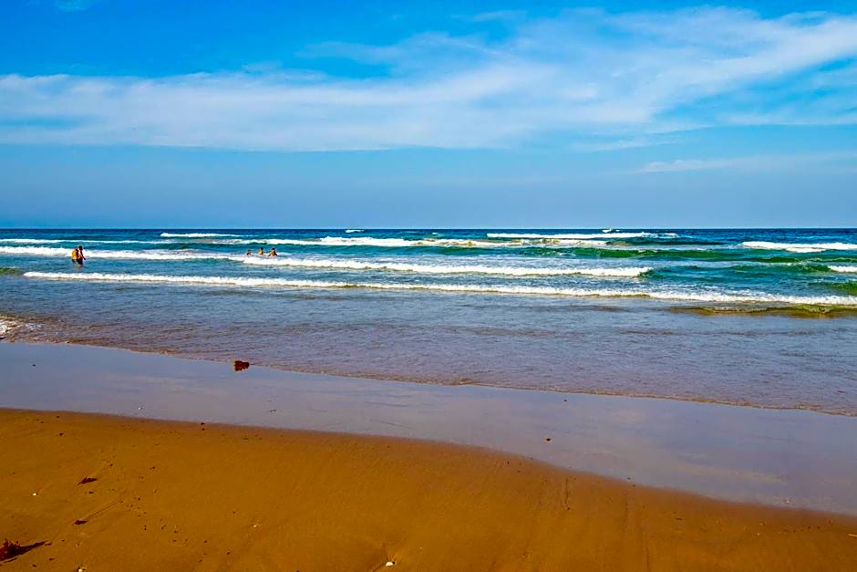 Seagull's Landing By The Ocean