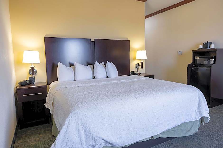 Hampton Inn By Hilton Alice