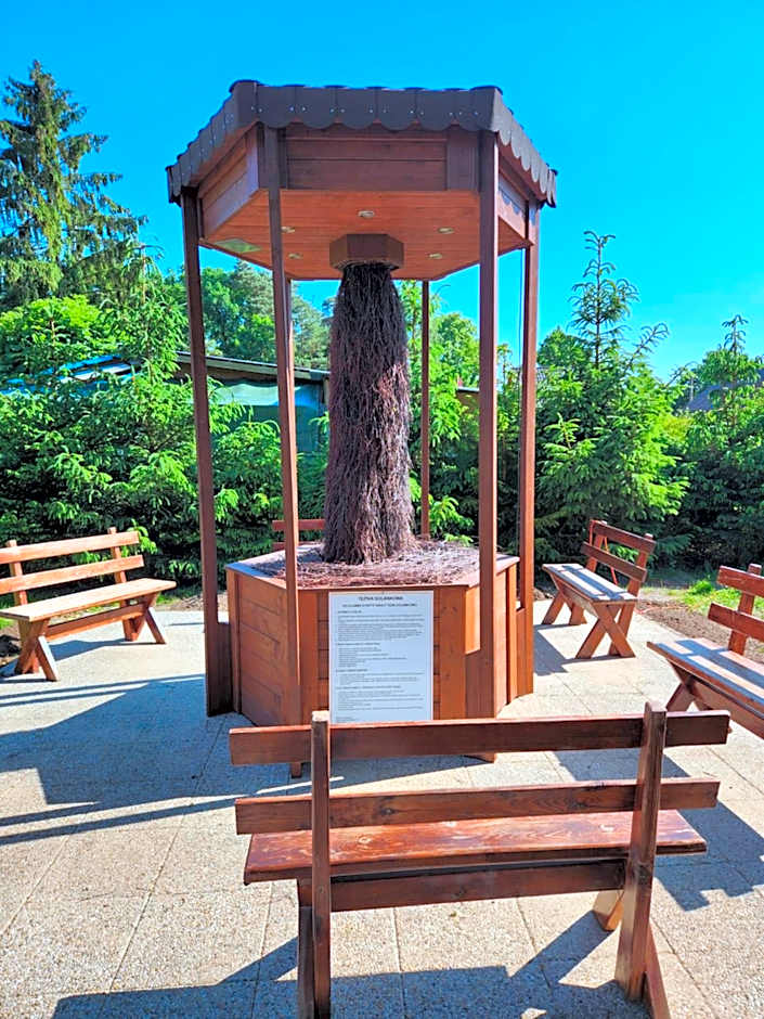 Natura Park w Stegnie