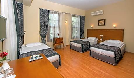 Triple Room with City View