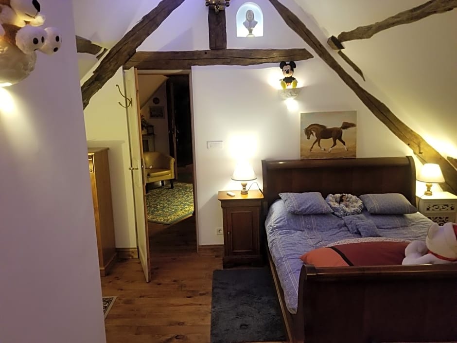 Chenonceau Amboise équitation beauval