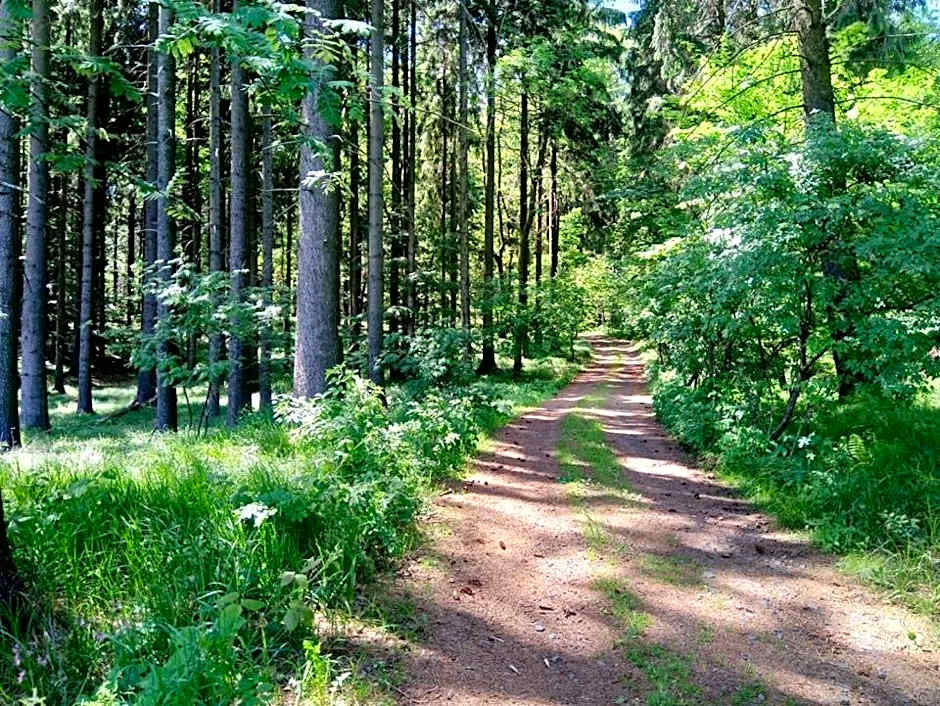 Villa Sunshine / Slunečna Vila