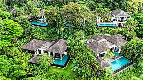 The Damai