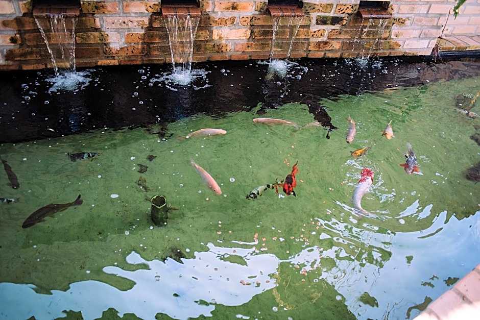 Estúdio em Contêiner no Bosque