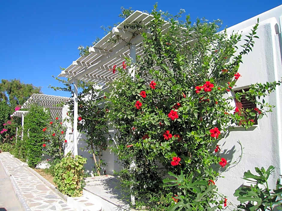 Surfing Beach Village Paros