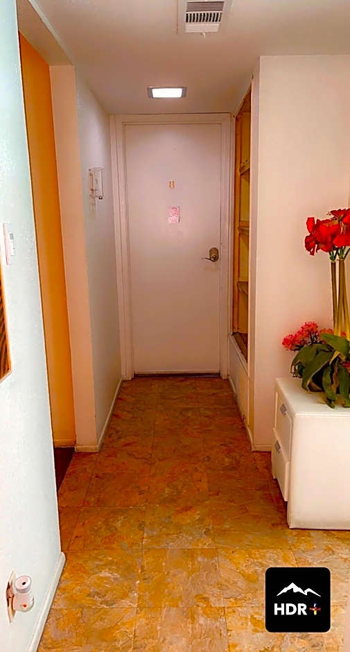 The Yellow Penthouse