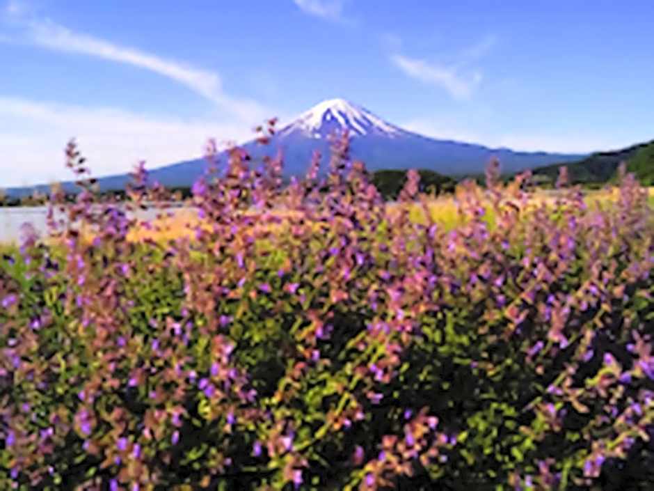 Shoji Mount Hotel - Vacation STAY 83000v