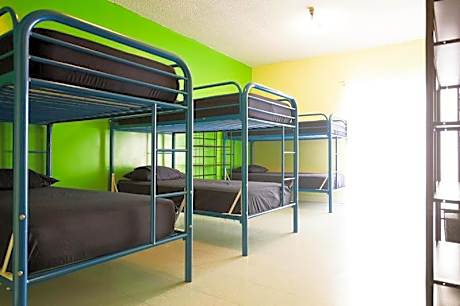 Bed in 6-Bed Mixed Dormitory Room