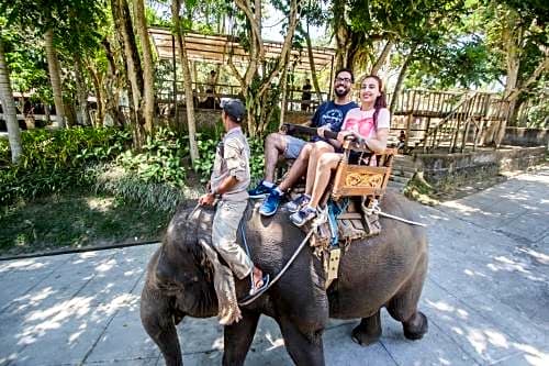 Puri Lumbung Village