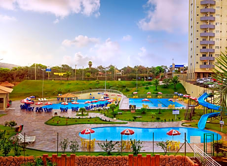 Golden Dolphin Express Oficial