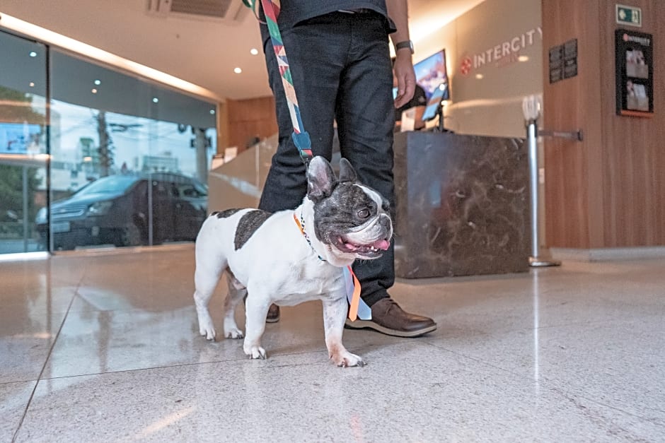 Intercity Montes Claros