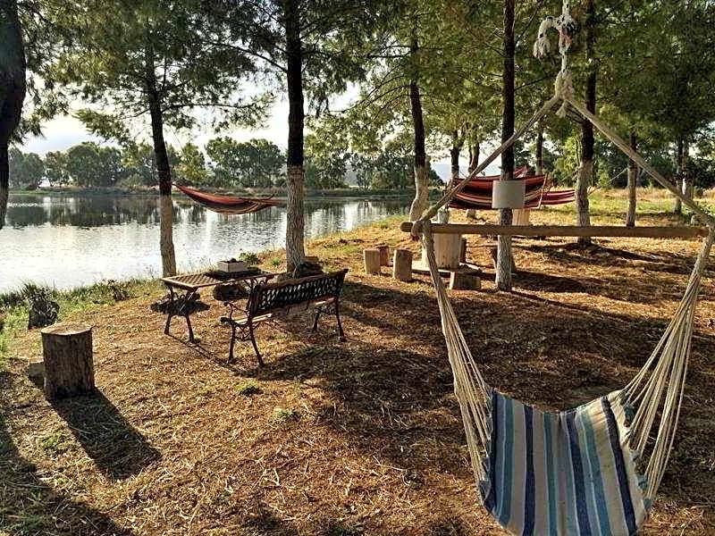 Villa Olga Hotel Apartments & Studios