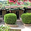 Residenza La Vigna