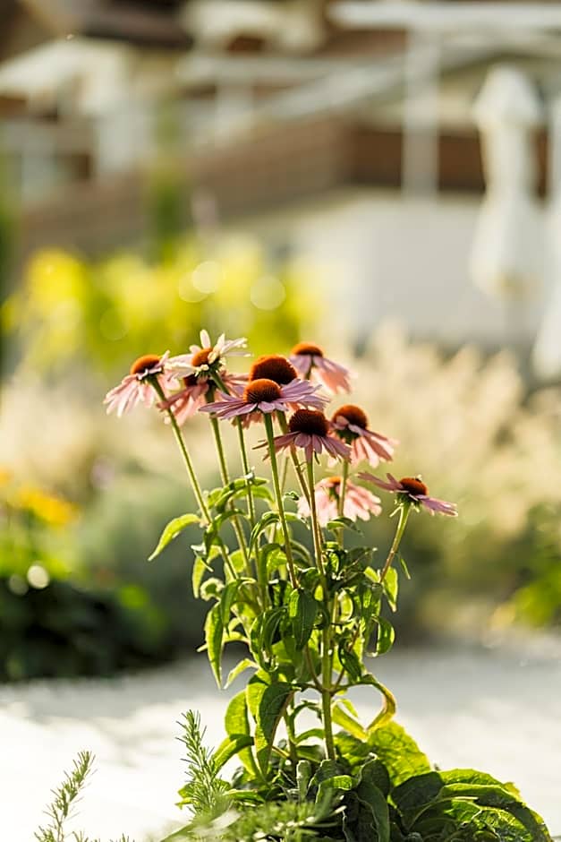 Residence Der Heinrichshof