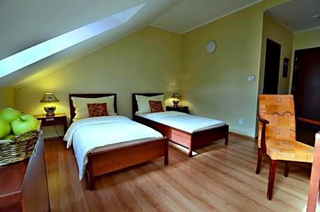 Comfort Twin Room