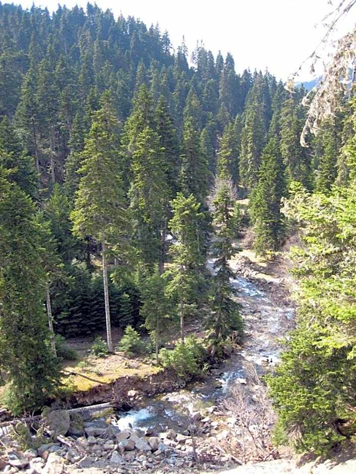 Archontiko Christodoulou