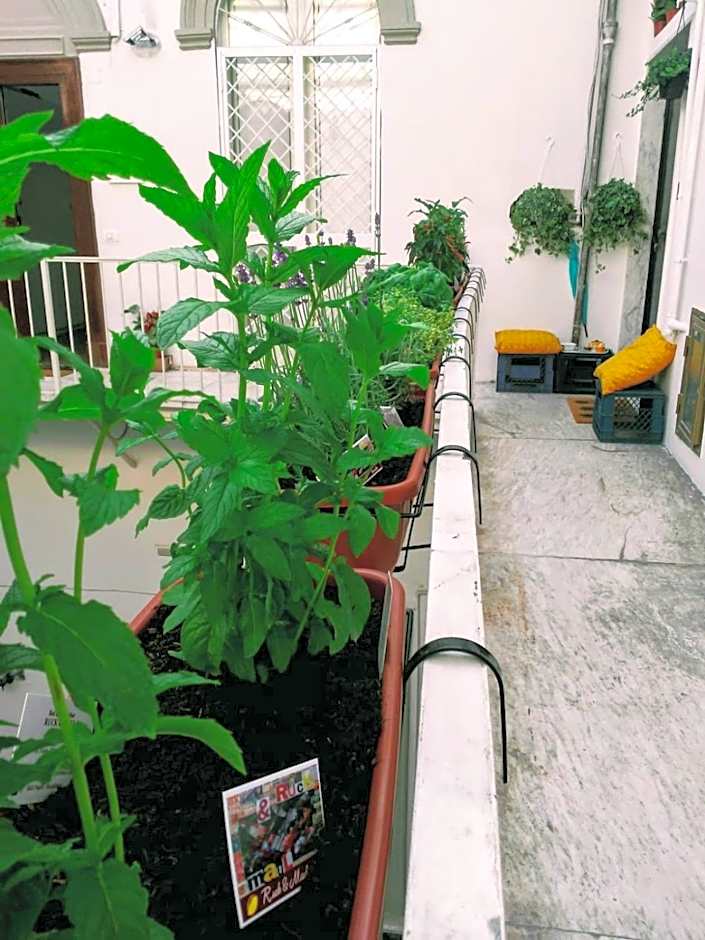 B&B Napoli Ruck&Maul