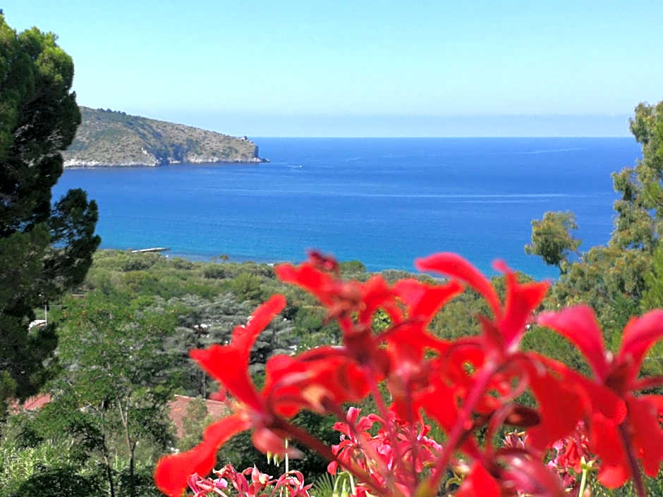 Il Sogno di Vincenzo e Maria