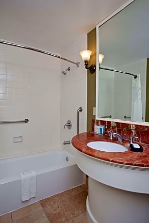 1 King Bed Studio Suite Ns W/Sofa Bed