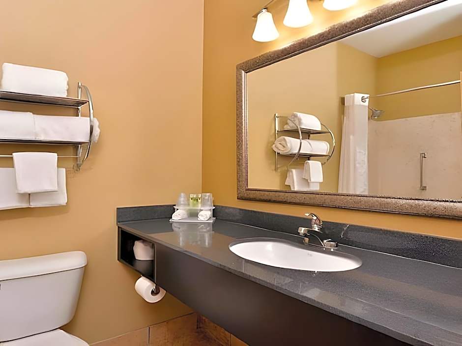 Comfort Inn & Suites Sharonville - Cincinnati North