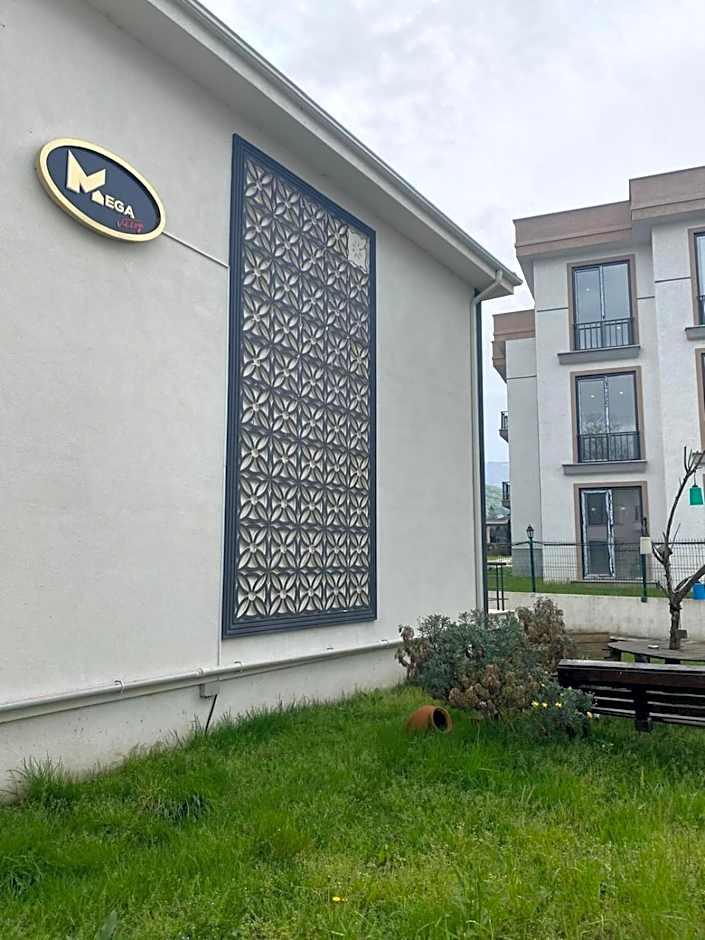 EDİ Group Turizm Sapanca Villas