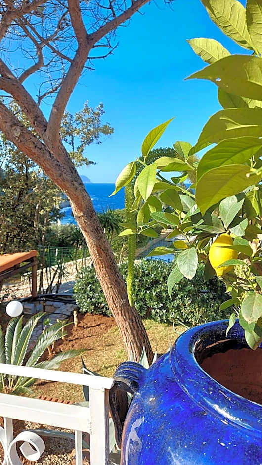 VFH Villa Flavia Eco B&B - 50 metri dal mare