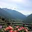 Agritur Maso Ciprianna B&B